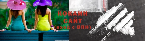 ПСИЛОЦИБИНОВЫЕ ГРИБЫ Балабаново