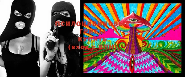 ПСИЛОЦИБИНОВЫЕ ГРИБЫ Балабаново