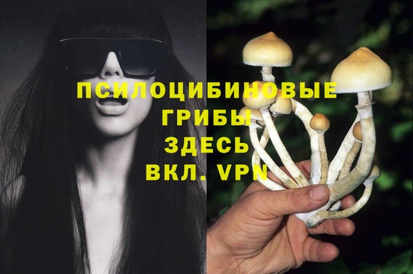 ПСИЛОЦИБИНОВЫЕ ГРИБЫ Балабаново