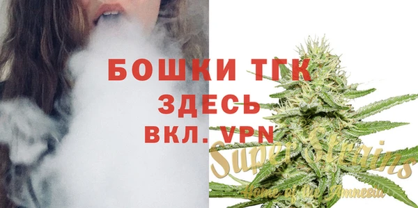 ПСИЛОЦИБИНОВЫЕ ГРИБЫ Балабаново