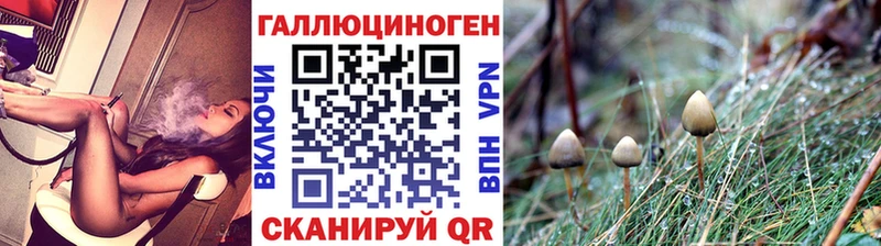 Галлюциногенные грибы прущие грибы  сколько стоит  Трубчевск 